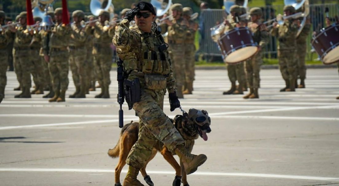 “Drako, misión cumplida”: El valiente perro del Ejército que se despide en la Gran Parada Militar