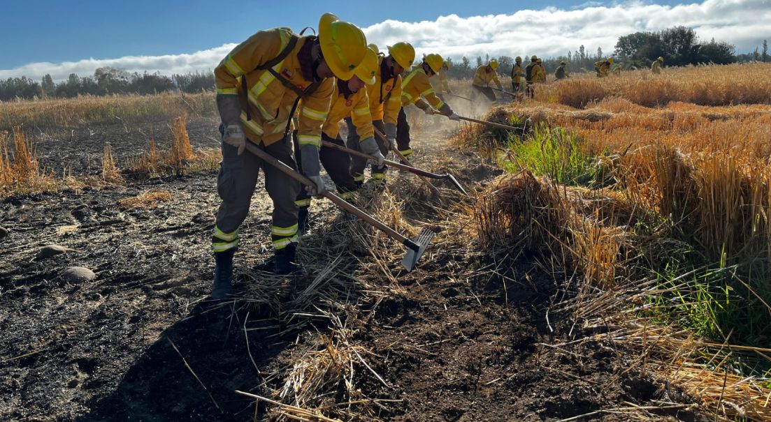Brigadas de Refuerzo de Incendios Forestales apoyan en la Región del Maule