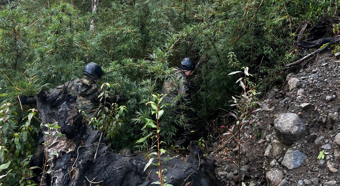 Región de Los Lagos: Patrulla de Auxilio y Rescate Militar del Ejército colabora en búsqueda de persona extraviada