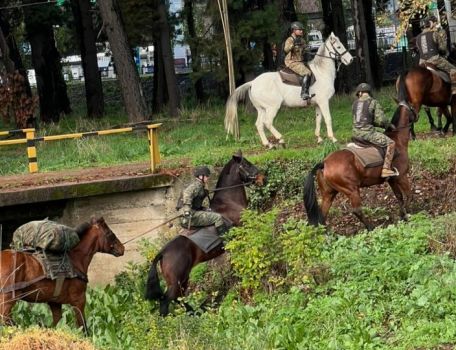 CELOM certifica y realiza asistencia al entrenamiento de “Exploradores Montados”