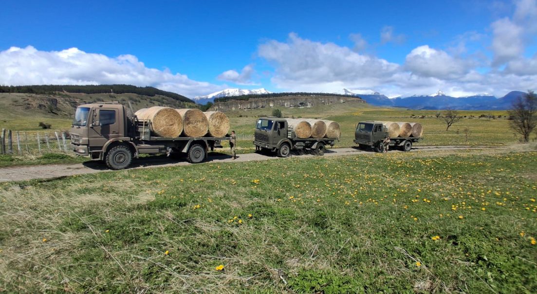 Ejército apoya entrega de forraje a familias afectadas por el frente de mal tiempo en Aysén