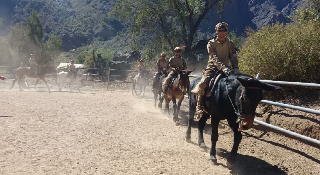 Instructores de la Escuela de Montaña son capacitados en empleo del ganado mular de carga
