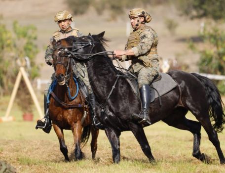 Fortaleciendo habilidades montadas: Ejército y Carabineros participaron en competencias con caballos