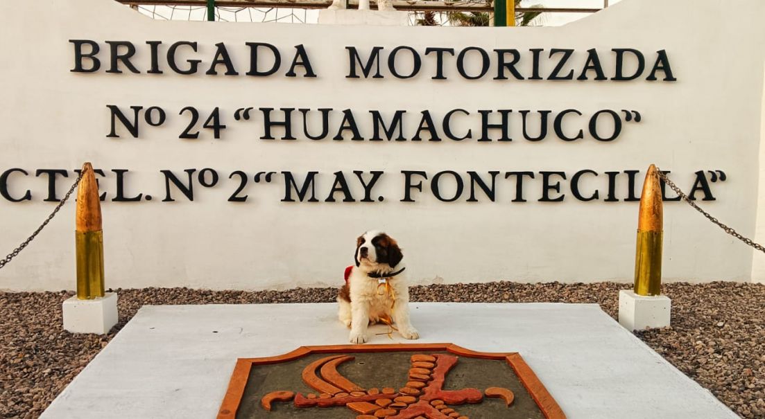 Tacora: el nuevo San Bernardo de la Brigada Motorizada N.º 24 “Huamachuco” que conquistó a la comunidad