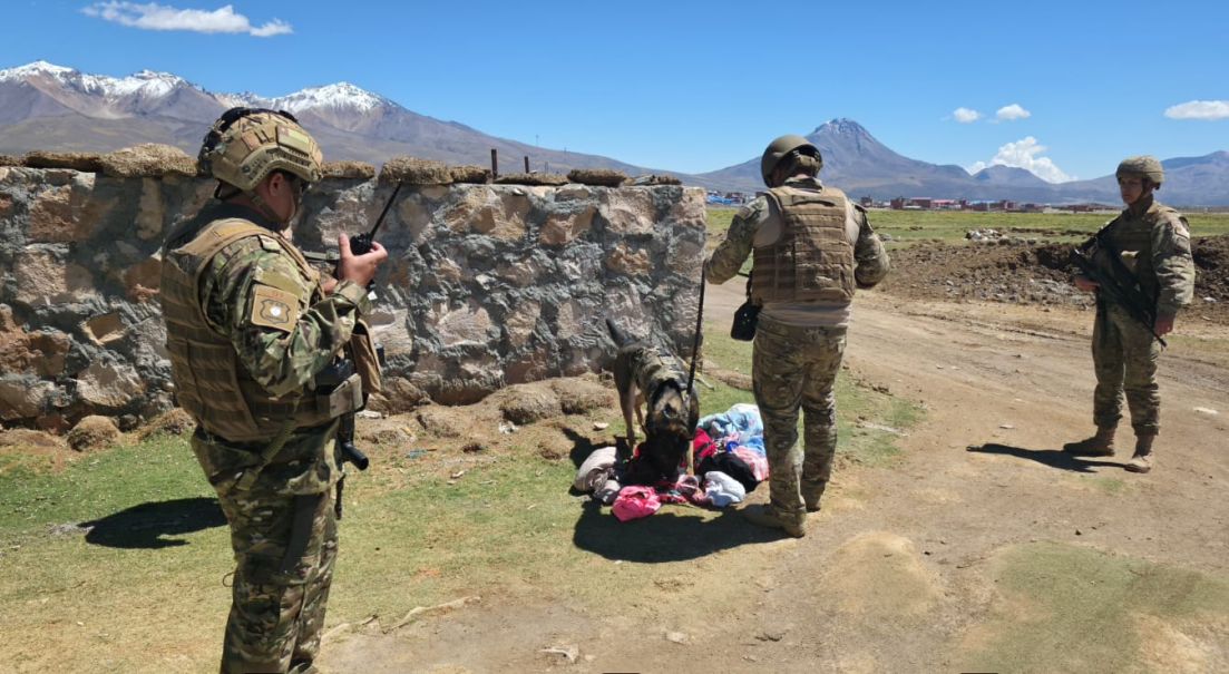Ejemplares caninos se despliegan a la frontera norte del país